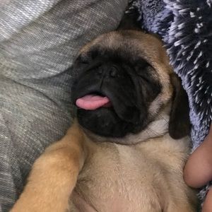 Meet your Posher, Scott